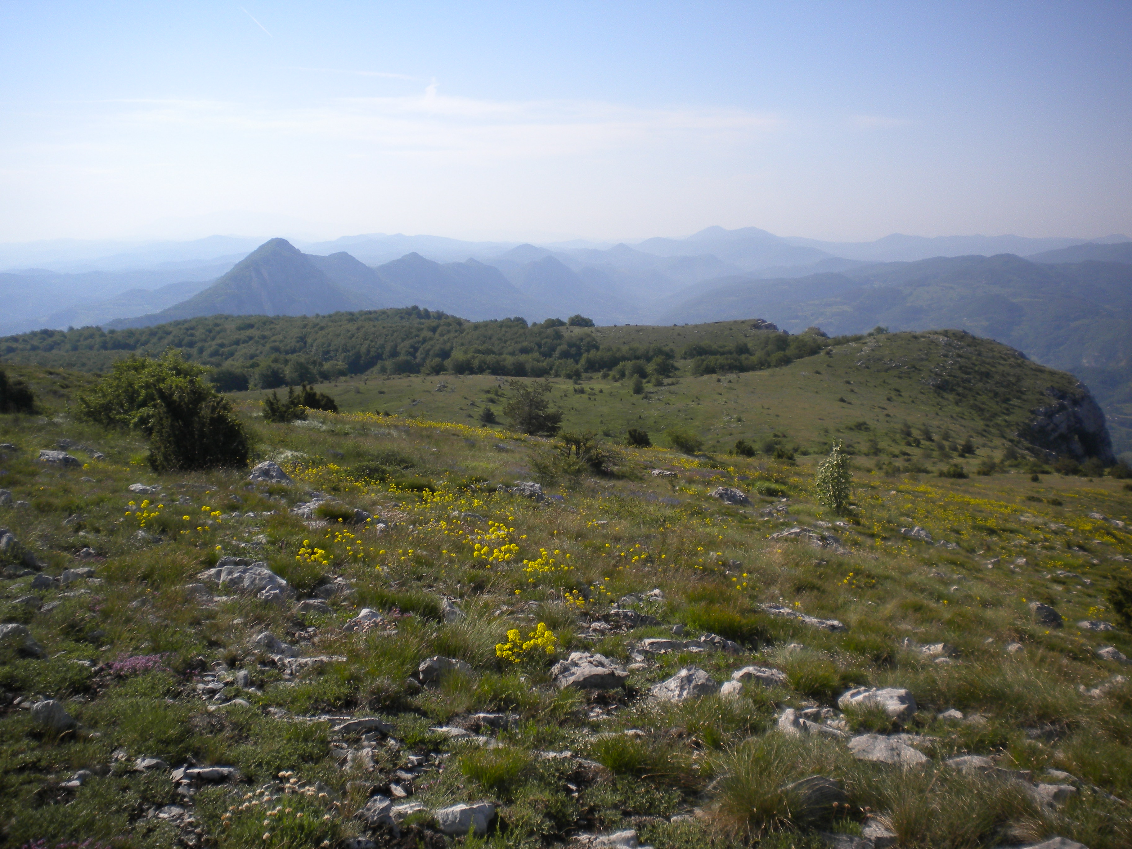 Uživajte u pogledu sa Panice, najvišeg vrha Vlaške planine - Pirot i ...