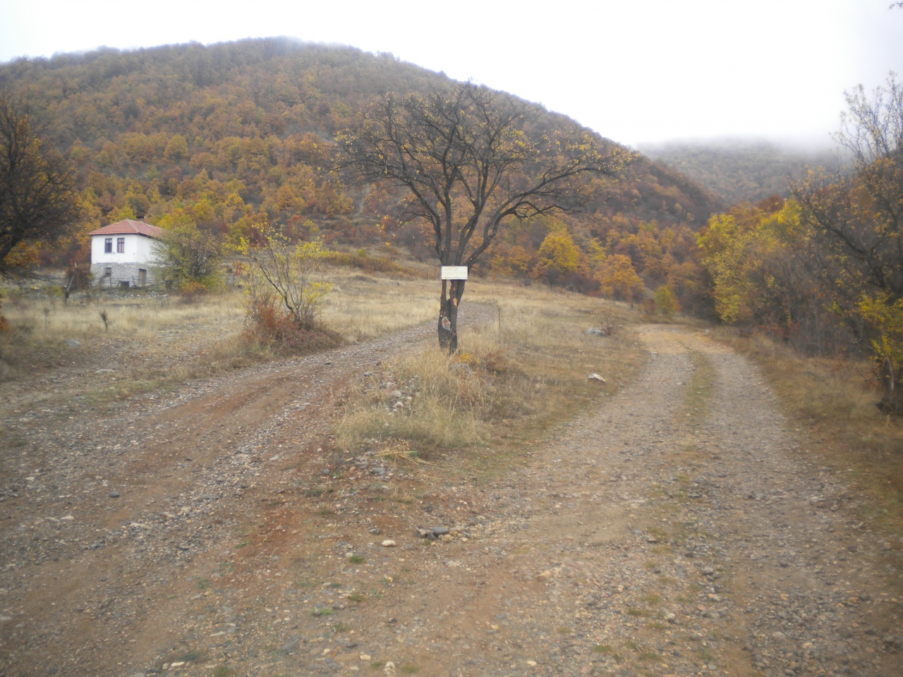Image%2012_Desno%20za%20Bra%C4%87evce%20