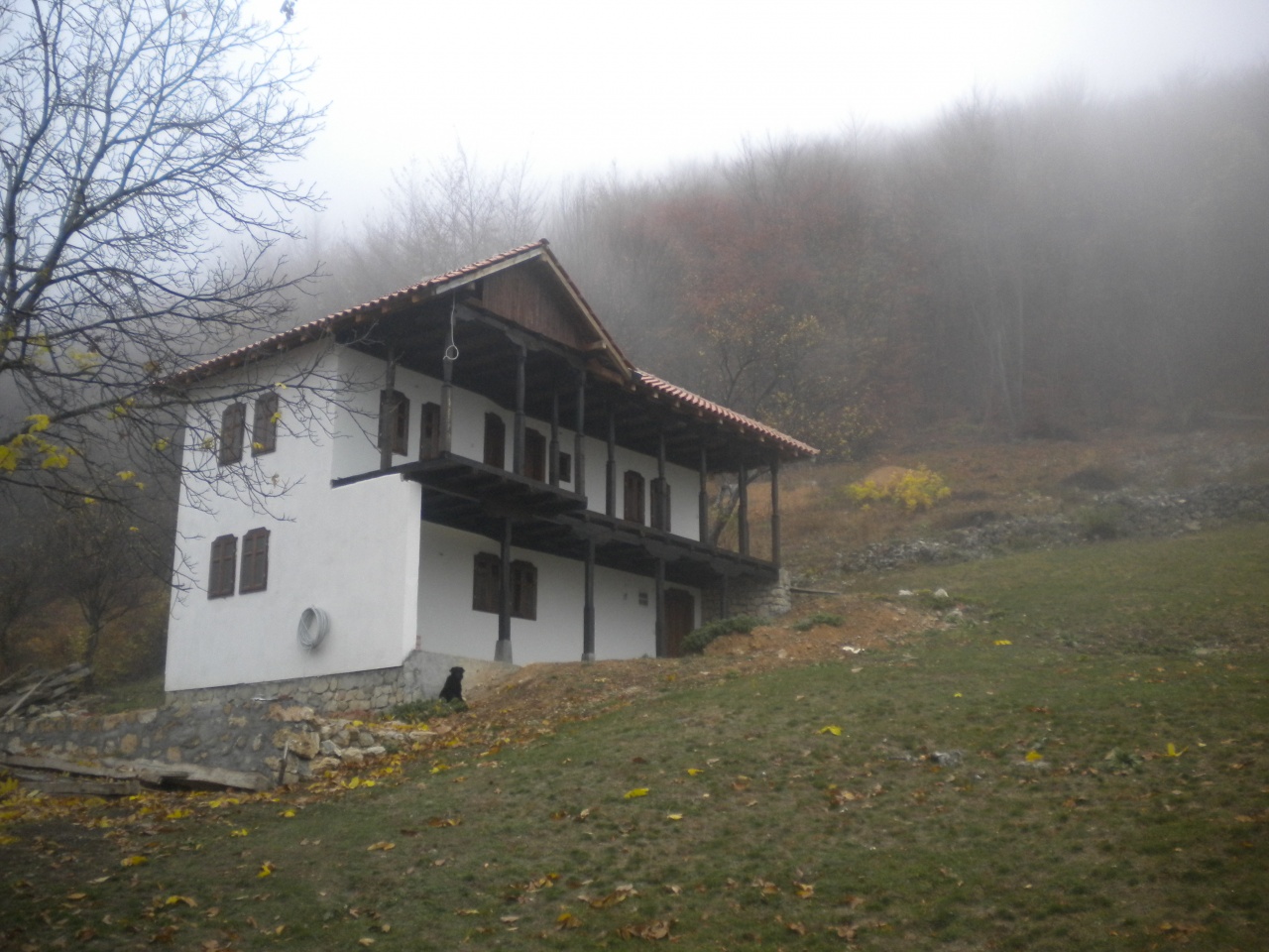 Image%2033-0-1280x960.jpg