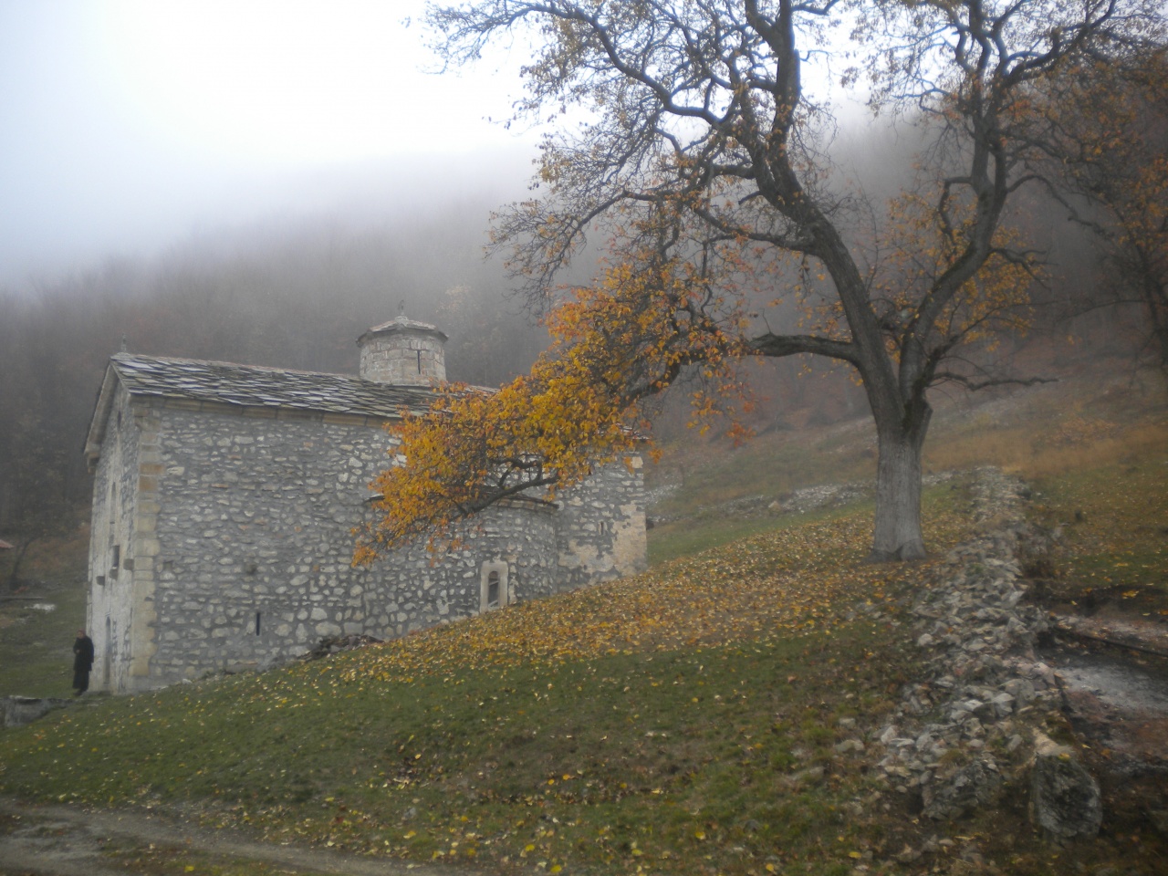 Image%2040-0-1280x960.jpg